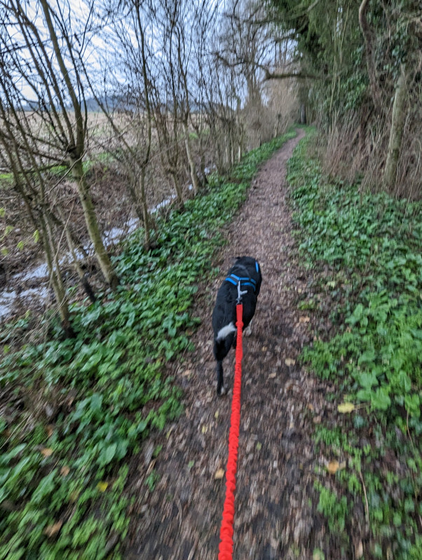 La piste d'entrainement